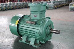 粉塵環(huán)境應(yīng)該如何選擇粉塵防爆電機(jī)型號(hào)？