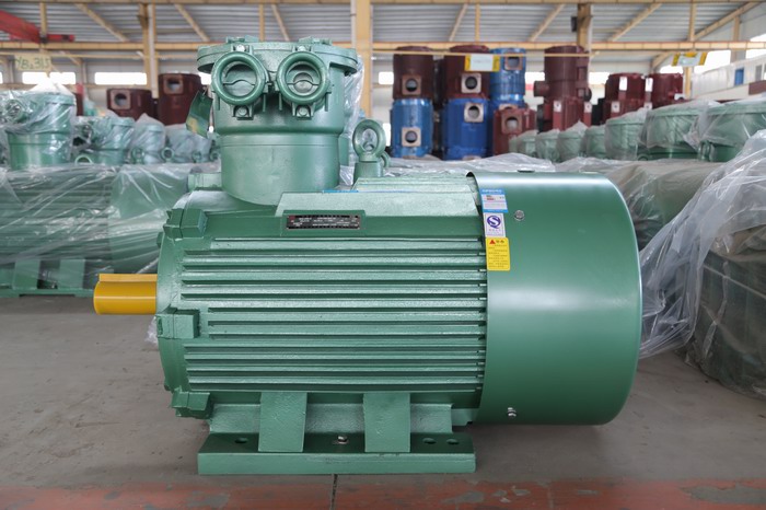 CT4防爆電機(jī)