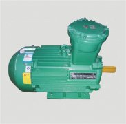 粉塵防爆電機(jī)Ex tD B21 IP65 T135℃是什么意思